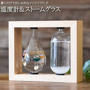 BACKYARD FAMILY xv&Xg[OX QECeAG