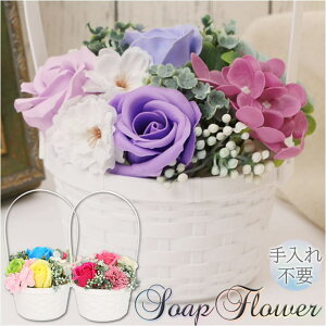 BACKYARD FAMILY \[vt[ CgAW QECeAG