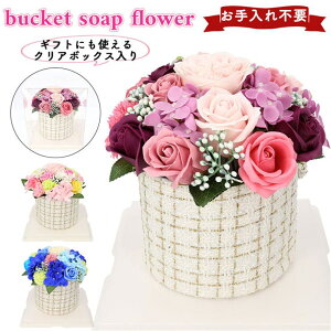 BACKYARD FAMILY \[vt[ oPbgAW QECeAG