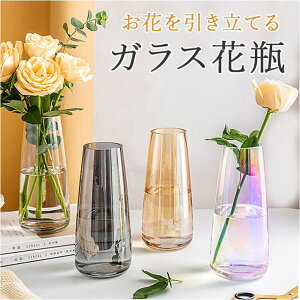 y10OFFN[|I11/27()1:59܂ŁzBACKYARD FAMILY KX ԕr  pmygrass01 QECeAG