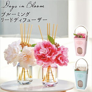 y10OFFN[|I11/27()1:59܂ŁzBACKYARD FAMILY Days in Bloom u[~O [hfBt[U[ QECeAG