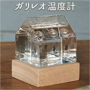 BACKYARD FAMILY KXt[g xv nEX QECeAG