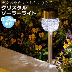 yyI25OFFN[|IzBACKYARD FAMILY NX^\[[Cg QECeAG