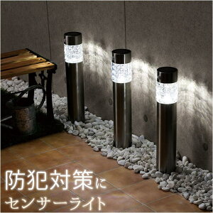 y10OFFN[|I11/11 ()1:59܂ŁzBACKYARD FAMILY ZT[\[[|[Cg PxSMDgp QECeAG