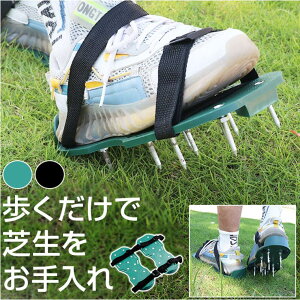 BACKYARD FAMILY Ő XpCN kgoods38 QECeAG