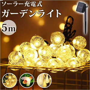 BACKYARD FAMILY \[[Cg K[fCg  mmslisht126g QECeAG