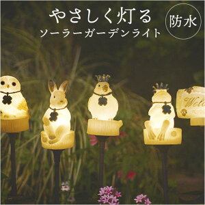 yyI25OFFN[|IzBACKYARD FAMILY Pomie |~G \[[K[fCg QECeAG