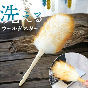 yyI25OFFN[|IzBACKYARD FAMILY ͂ ق lyls5 QECeAG