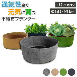 BACKYARD FAMILY sDzv^[ 50x20 QECeAG