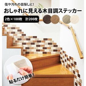 BACKYARD FAMILY ؖڒXebJ[ ʔ CguE _[NuE JO[ zCgx[W Ɍ ǎ BDIYG{XH \邾ȒP ̖ډB ǂ̃LYCV