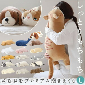 BACKYARD FAMILY ˂ނ˂ރv~A܂ L QECeAG