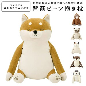 BACKYARD FAMILY w؃s[ Aj} QECeAG