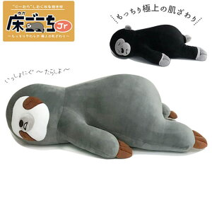 y10OFFN[|I11/27()1:59܂ŁzBACKYARD FAMILY Jr  ʂ QECeAG