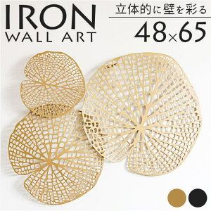 BACKYARD FAMILY ACA EH[A[gǏ QECeAG