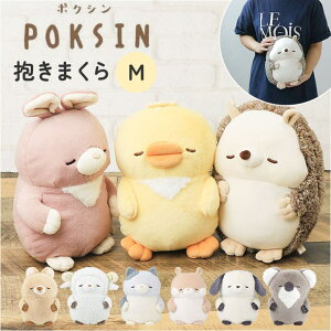 BACKYARD FAMILY POKSIN ܂ M QECeAG