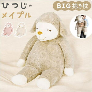 y5OFFN[| 9/11 1:59܂ŁzBACKYARD FAMILY Ђ̃Cv܂ BIG QECeAG