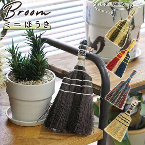 BACKYARD FAMILY Broom u[ ق ~j oXEgCE|
