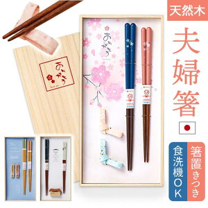 BACKYARD FAMILY ˔vwMtgZbg ut HELb`pi