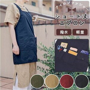 BACKYARD FAMILY  iCbV[ V[gGv HELb`pi