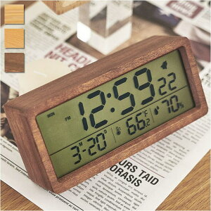 y10OFFN[|I11/27()1:59܂ŁzBACKYARD FAMILY ڊo܂v lycloc2 QECeAG