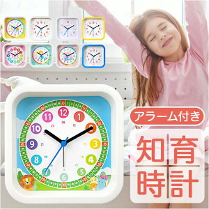 BACKYARD FAMILY qڊo܂v m pmumclock13 QECeAG