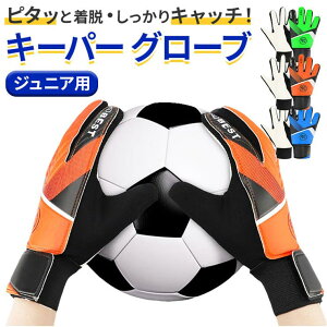 BACKYARD FAMILY L[p[O[u TbJ[ tbgT WjA LbY X|[c