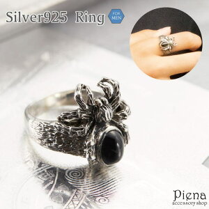 ANZT[VbvPIENA O Y Vo[925 IjLX w N XpC_[   CpNg Ch d I ގ l a LO v[g Mtg ANZT