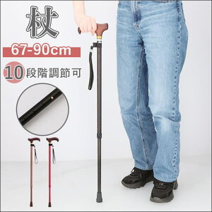 y10OFFN[|I11/27()1:59܂ŁzBACKYARD FAMILY  DV[Y Lk^Cv AEghAELv