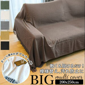 BACKYARD FAMILY _uEFCg }`Jo[ BIG 250×200 [EƋ