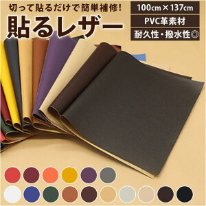 BACKYARD FAMILY \郌U[ pmy137 QECeAG