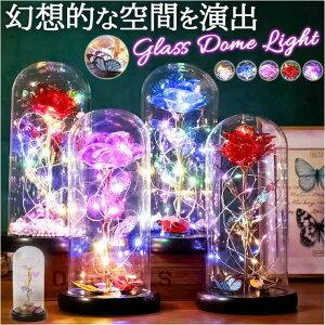 BACKYARD FAMILY KXh[   LEDt EG߉Ɠd