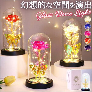 BACKYARD FAMILY KXh[   LEDt EG߉Ɠd