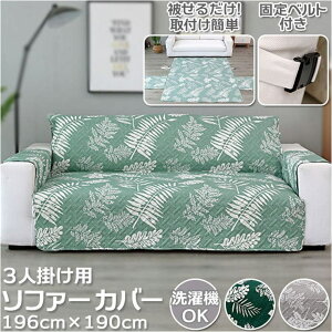 BACKYARD FAMILY \t@[Jo[ Ol| sfd03 [EƋ