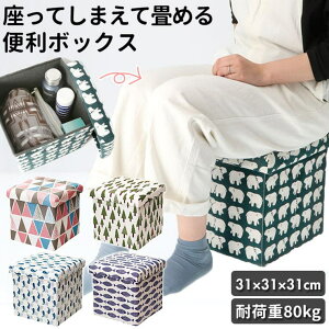 BACKYARD FAMILY Ă܂ď߂֗{bNX [EƋ