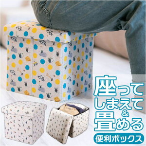 BACKYARD FAMILY Leo Lionni Ă܂ď߂֗{bNX [EƋ