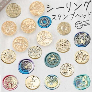 BACKYARD FAMILY V[OX^v wbh ykstphead2 [