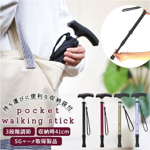 yyI25OFFN[|IzBACKYARD FAMILY  |PbgXebL t@bVG