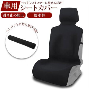 BACKYARD FAMILY  V[gJo[ pmycar01 t@bVG