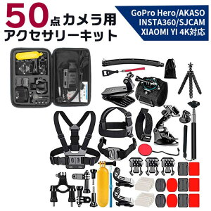 BACKYARD FAMILY JANZT[Lbg 50_Zbg pmye05 t@bVG