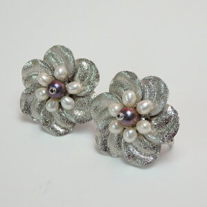 y[/z ^t[ W^ CO sAX Wp[ ̓ Mtg v[g