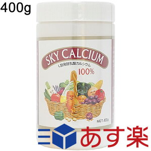 yΉ XJCJVE  400g XJCt[h JVE  Y Tv nEB Mtg v[g