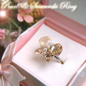 MtgP[X XtXL[ 傤 { Wp[ O W^ ̓ Mtg v[g