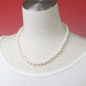 X[p[SALE [ lbNX Wp[ I[mbg Vo[ W^ ^ NX}X Mtg v[g