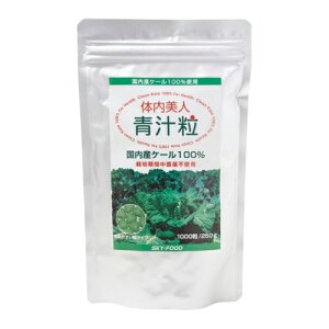 ̓l ` 1000 A~pbN XJCt[h ` YP[ YP[