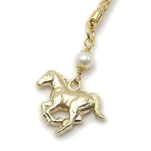 [ F x  VR J^ t Xgbv  ւ  t N p[ AWXg ^CK[AC [YNI[c sXY ^[RCY