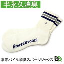 ブリーズブロンズ 消臭 スポーツソックス 消臭靴下 厚底 パイル 消臭ソックス ボーダー S-17 日本製