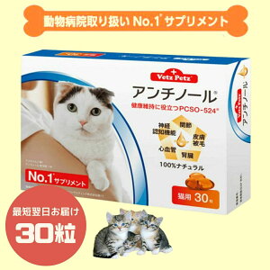 【30粒】【あす楽】アンチノール 猫用サプリメント 30粒