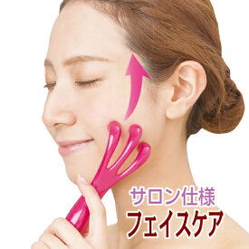 23:59までポイント必ず10倍以上 クーポンも フェイス ローラー サロンタッチ 本格設計 顔 ローラー フェイスライン デコルテ しっかり 引き上げ フェイスローラー 約 1000円ポッキリ メール便 送料無料 ヴィザージェ フェイシャルローラー vf