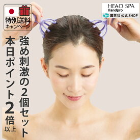 10周年感謝 1000円クーポン＆ポイント必ず2倍以上 スカルプケア 頭皮マッサージ グッズ 人気 ヘアケア グッズ 頭皮 マッサージャー 手動 マッサージ器 人気 満天社
