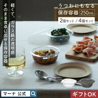 レビューでスポンジ【マーナ公式】うつわにもなる保存容器 250mL (2個入り・4個入り) プラスチック 耐熱 …